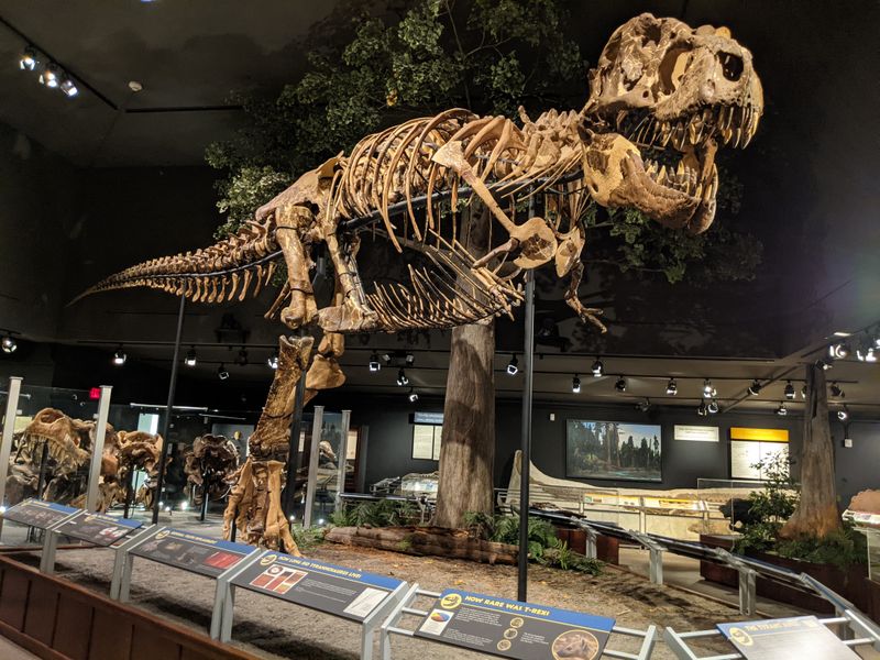 The Museum of the Rockies in Winter Quiet