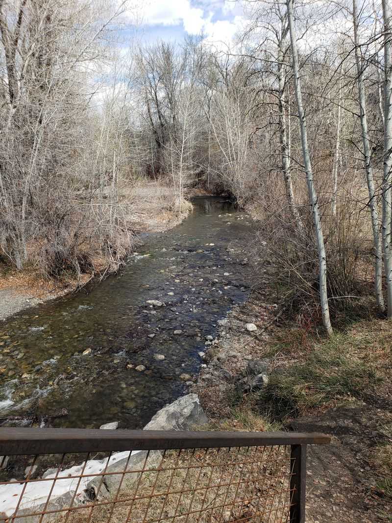 Find winter serenity with fly fishing