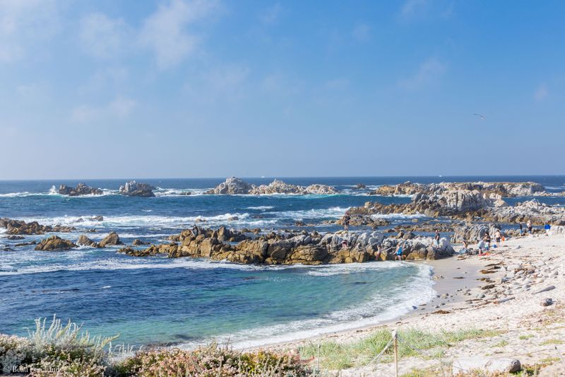 Carmel-by-the-Sea to Pacific Grove Coastal Link