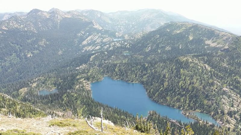 Flathead National Forest