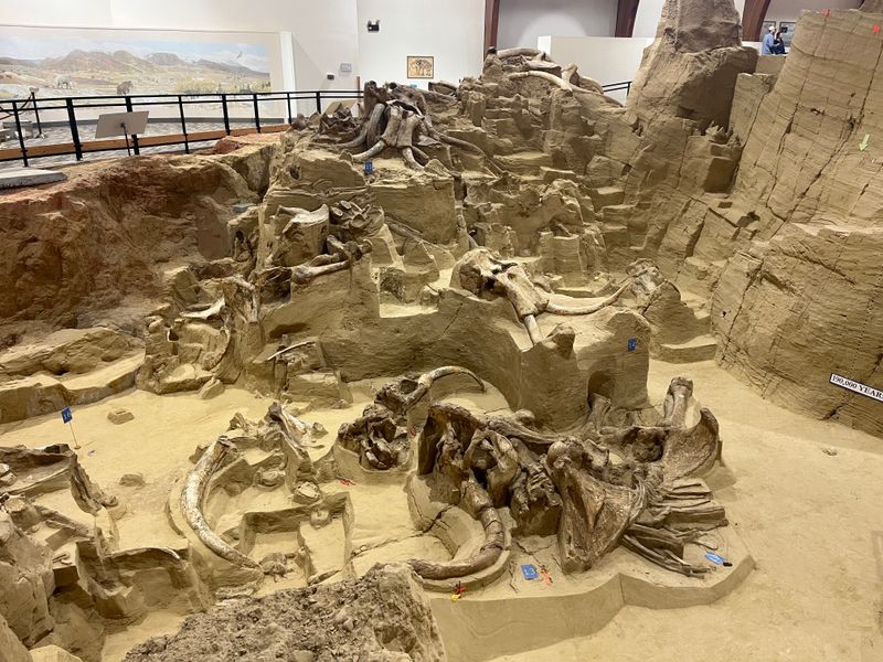 Mammoth Site walkways and hilltop paths