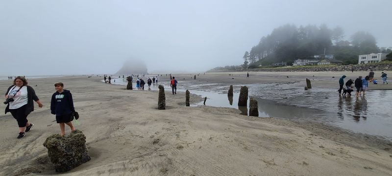 Accessible Adventure for Families and Beach Explorers