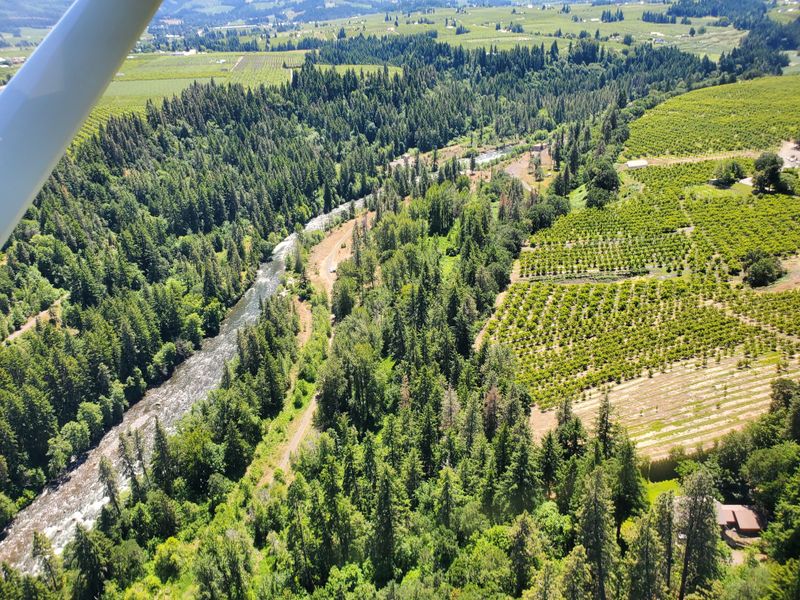 Thriving Fruit Orchards and Agricultural Heritage