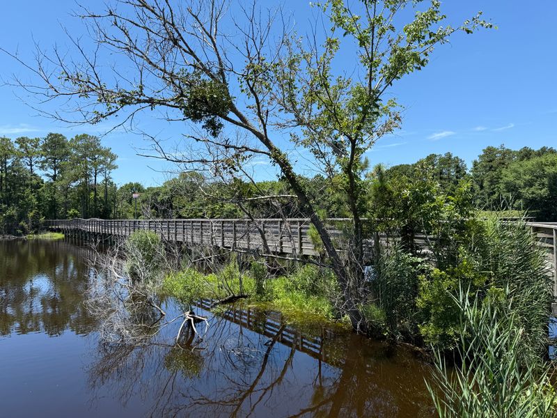 Kitty Hawk Woods Maritime Forest Overlook, Kitty Hawk