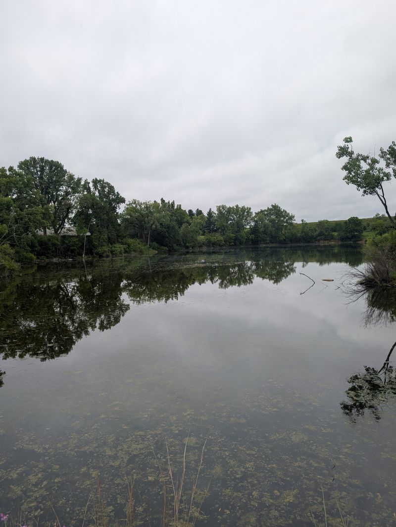 Rockford and the Forest Preserves