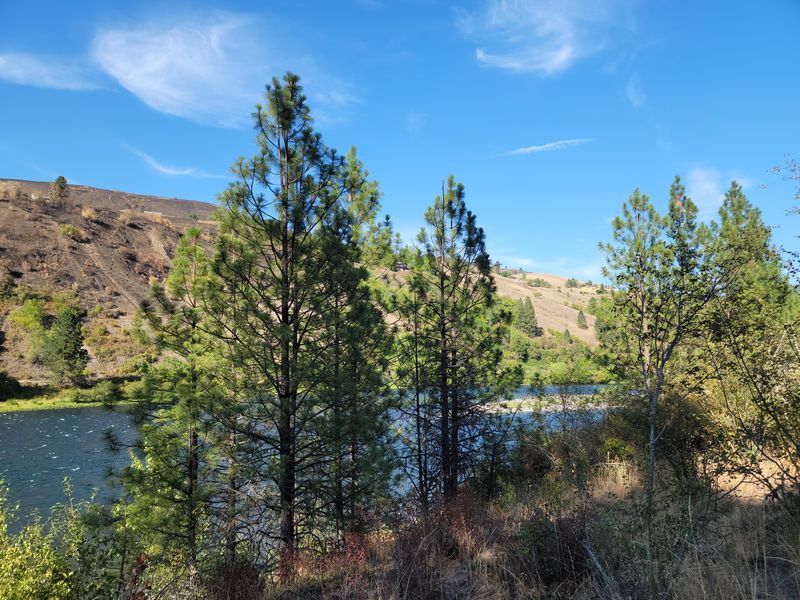 Orofino’s Clearwater River Glow