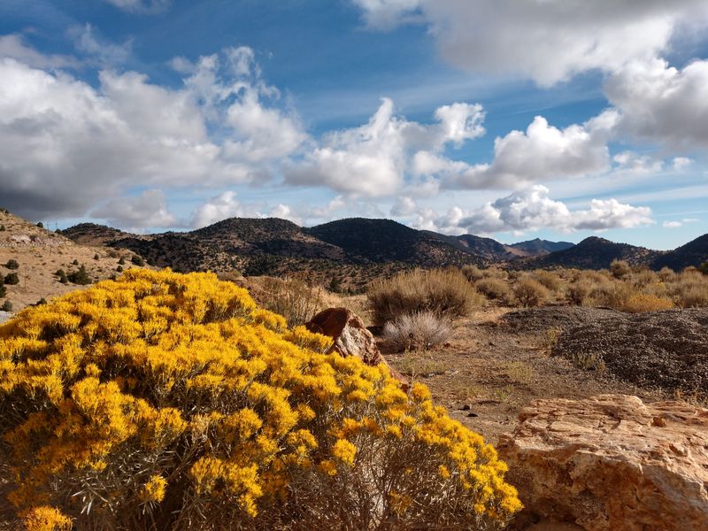 Silver Terrace Cemeteries Vista Walk