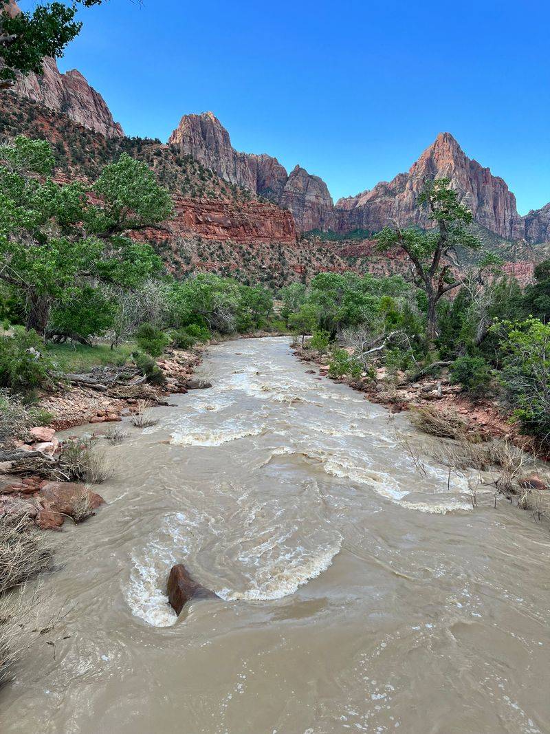 Art Galleries Celebrate Contemplation Over Commerce