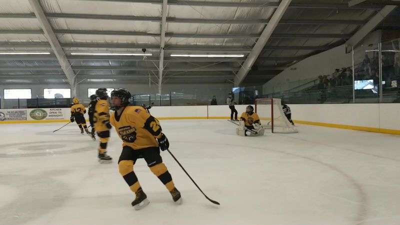 Holiday Ice at the Downtown Rink