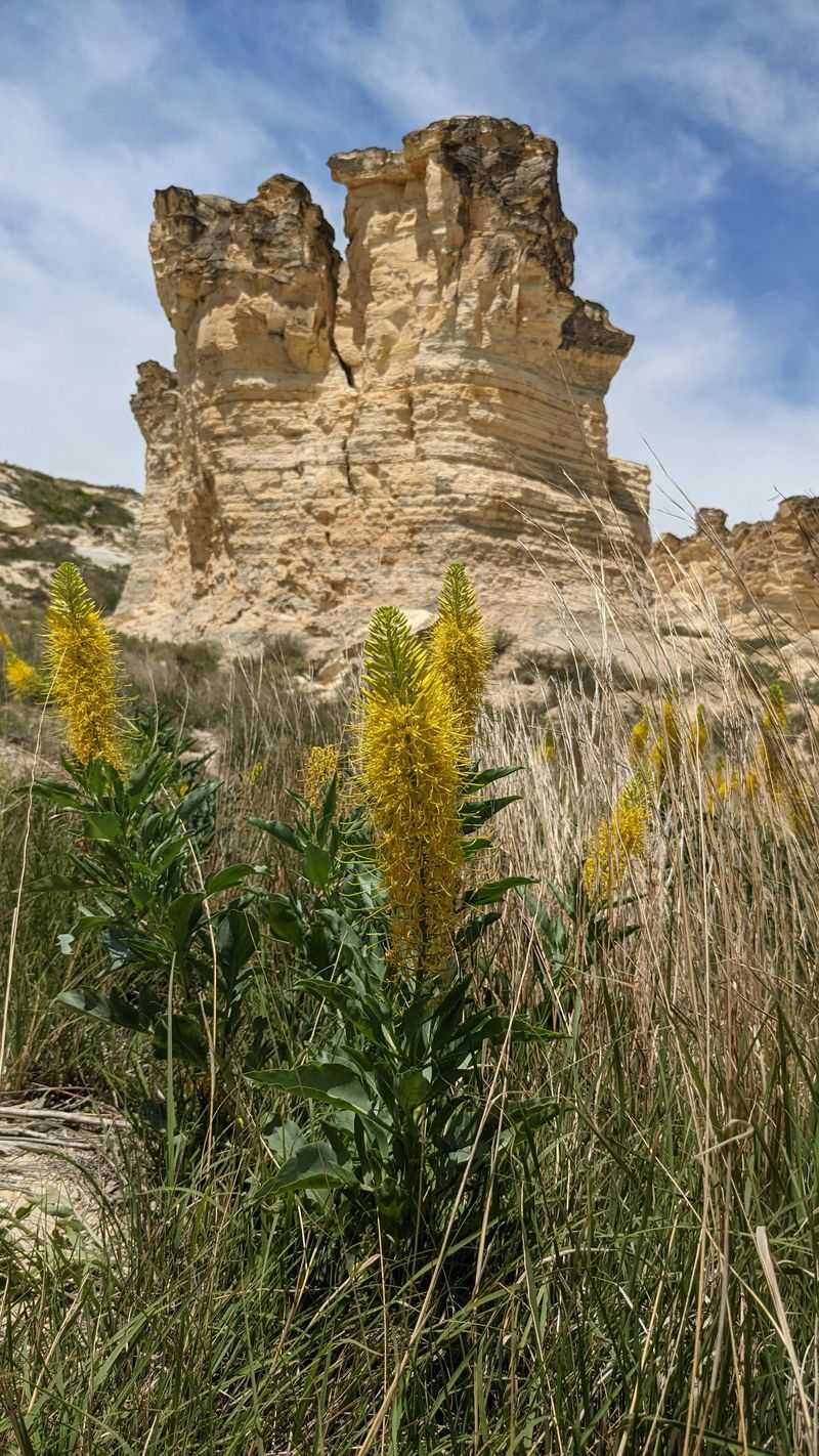 Practical planning checklist