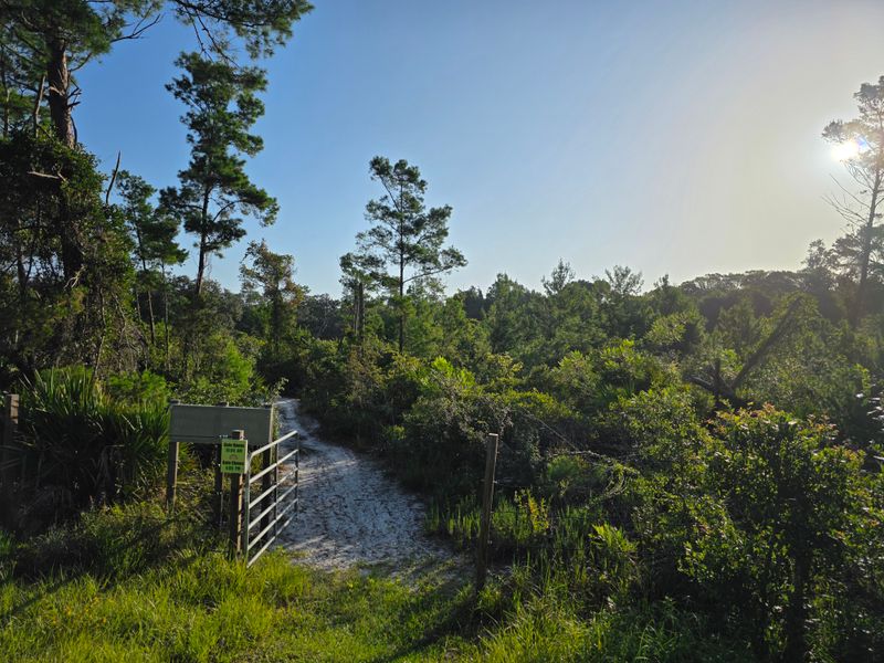 Scottsmoor Flatwoods Sanctuary