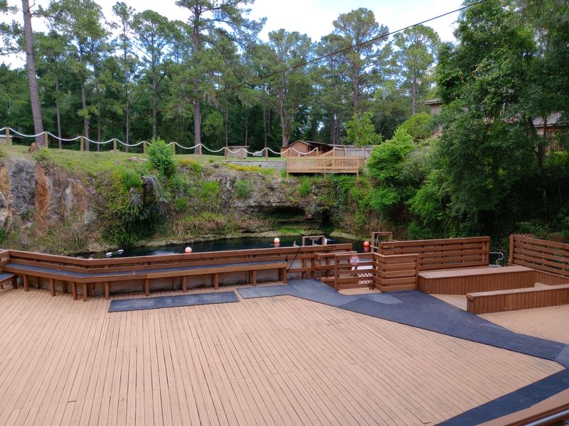 Know the essentials before you drive away