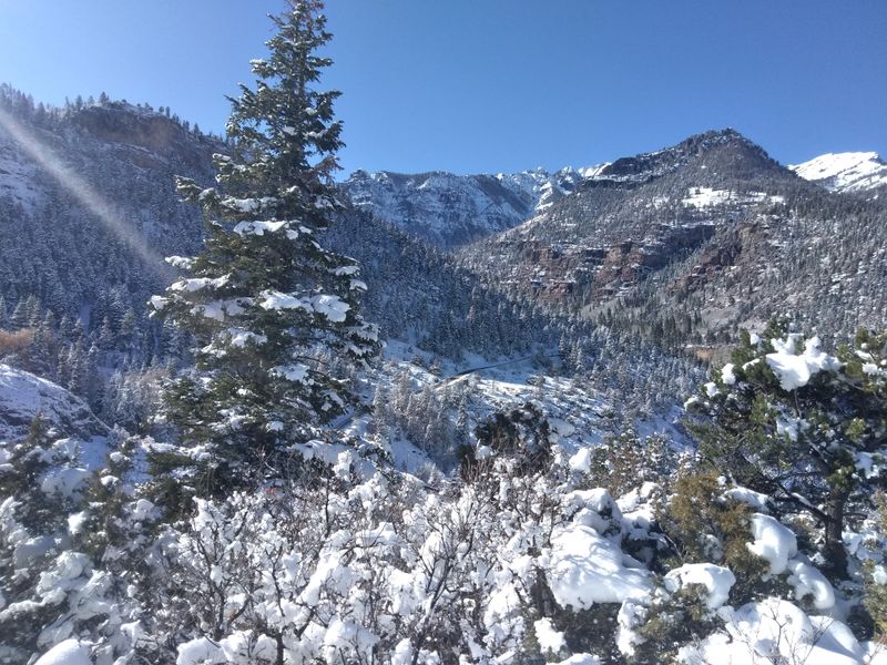 Winter Hiking And Snowshoe Loops Near Town