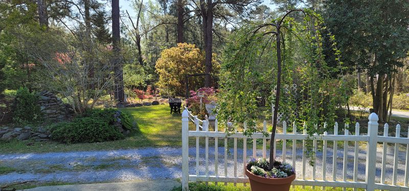 Head East Toward Carthage’s Rural Calm