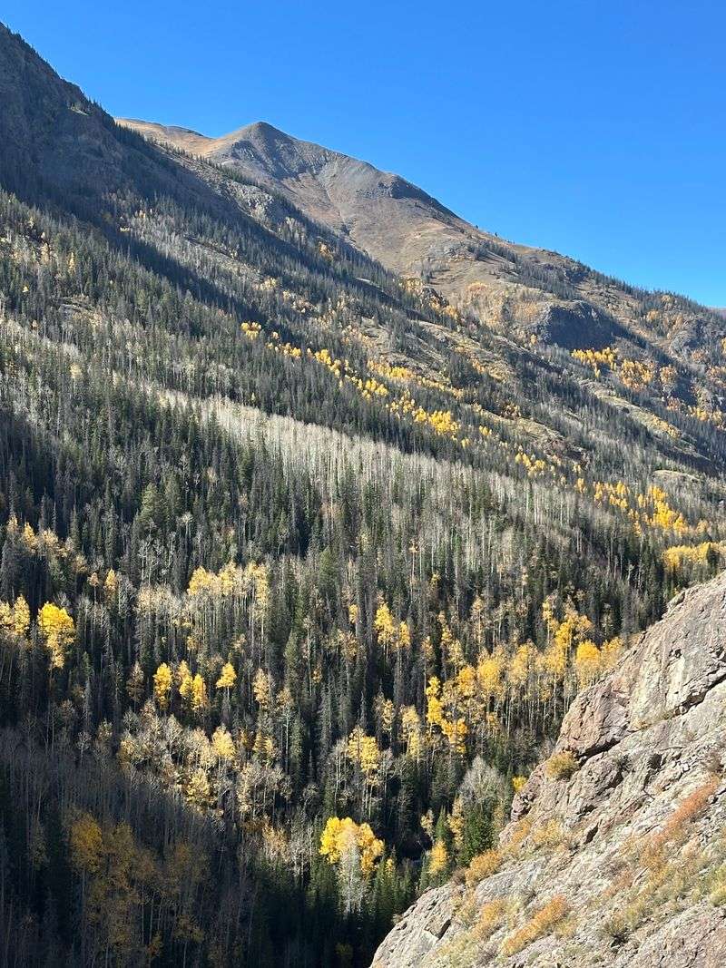 Trails and Meadows That Feel Worlds Away