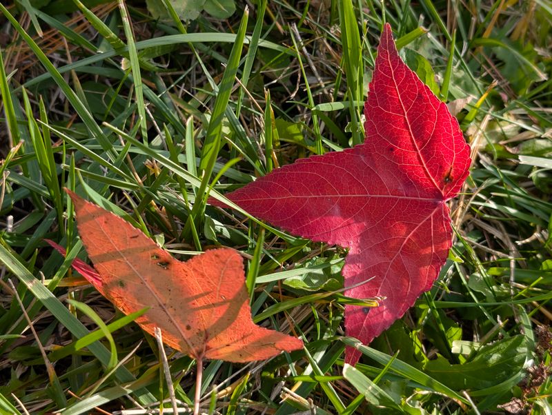 Big Darby Creek, Battelle Darby Creek Metro Park area