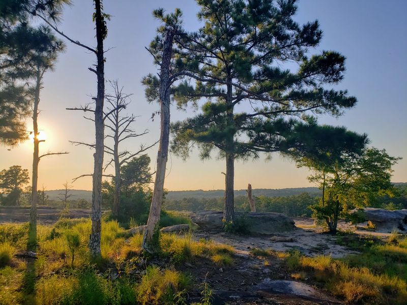 Arabia Mountain and Panola Mountain Area
