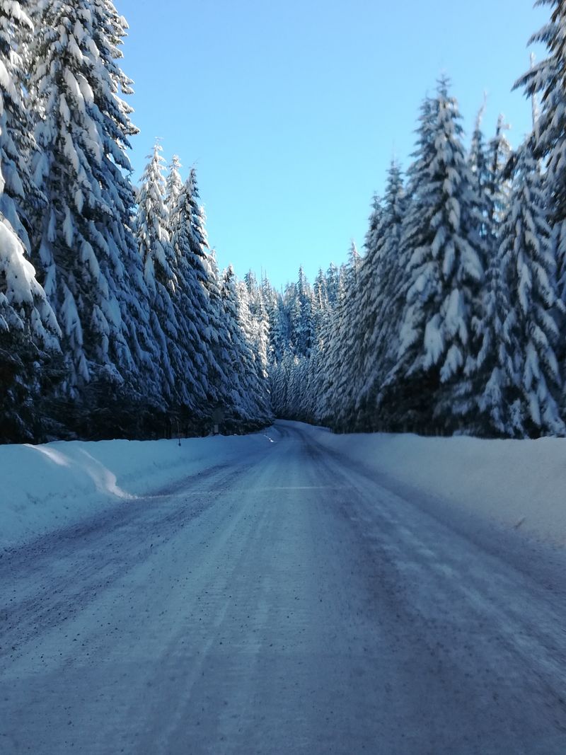 Stop 7: McKenzie Bridge, A Quick Pause On The McKenzie