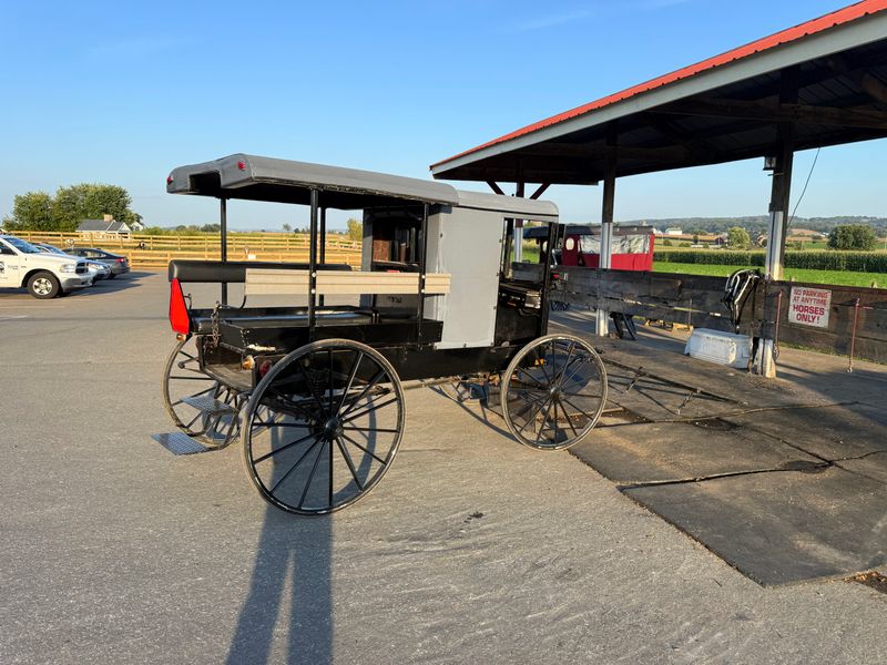 Blinding Buggies With High Beams
