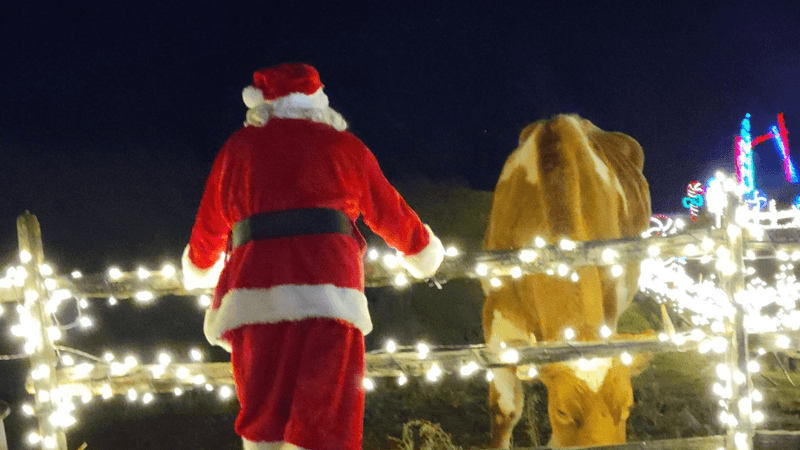 Mineral Point Artsy Holiday Lanes