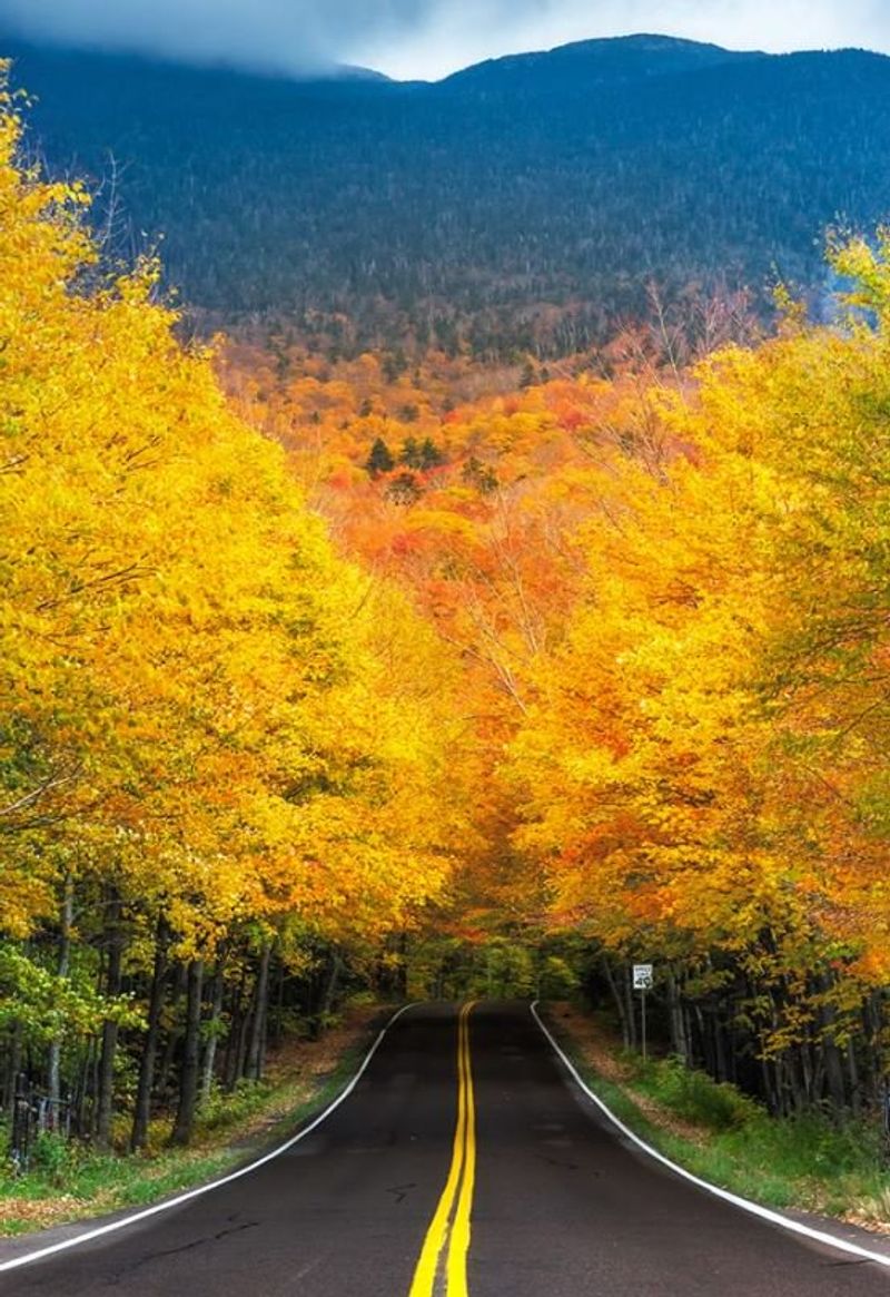 Smugglers' Notch State Park