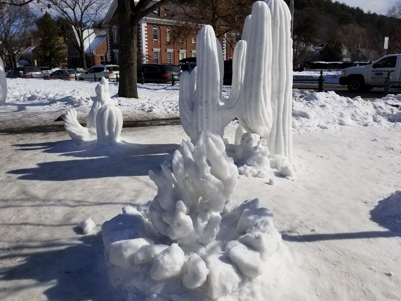 Woodstock Village Green and Town Center