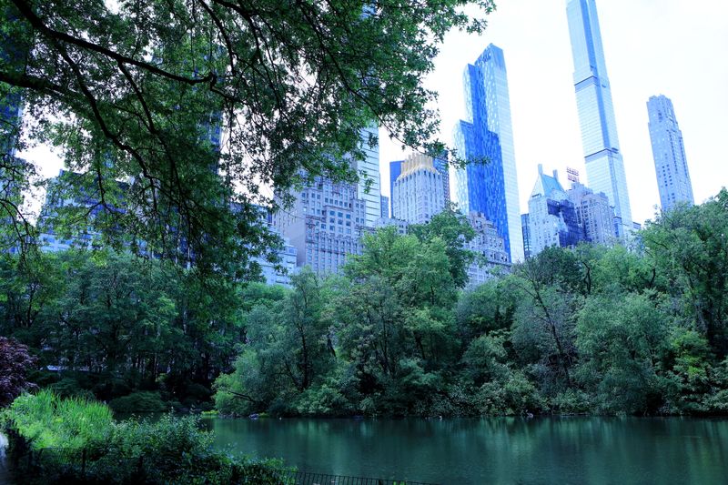 Adirondack Bites - Mountain Town Flavors