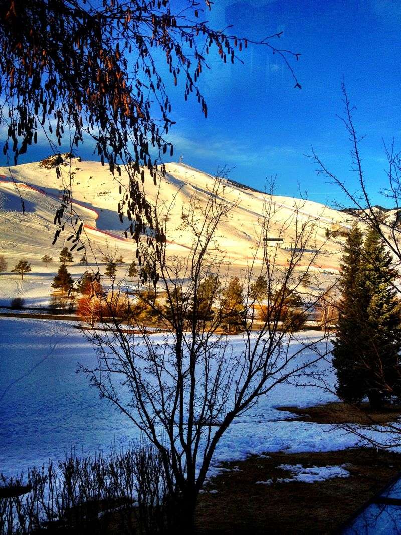 Glide through a starry sleigh ride