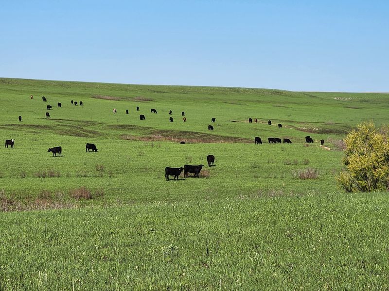 Tallgrass Prairie National Preserve Access