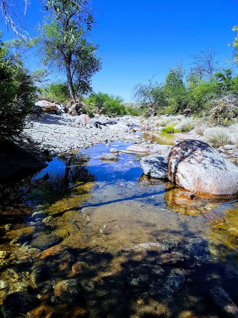 Endless Outdoor Recreation and Adventure Opportunities