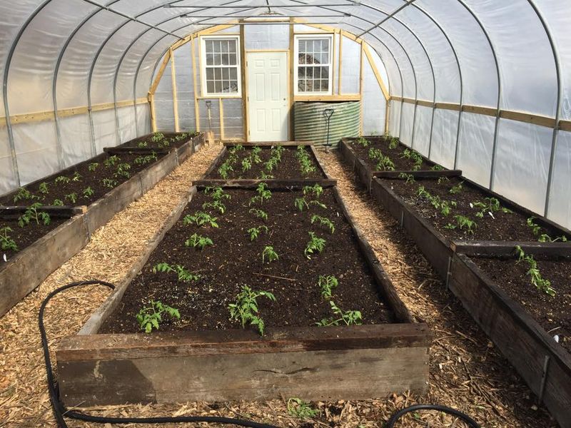 Work Swaps At Planting And Harvest