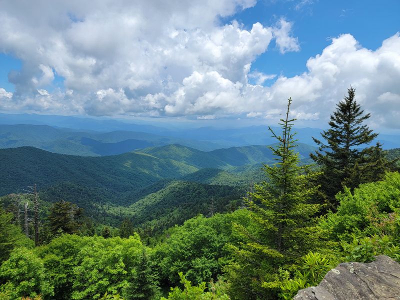 Quiet Corners And Mountain Vistas On The Road To Clingmans Dome
