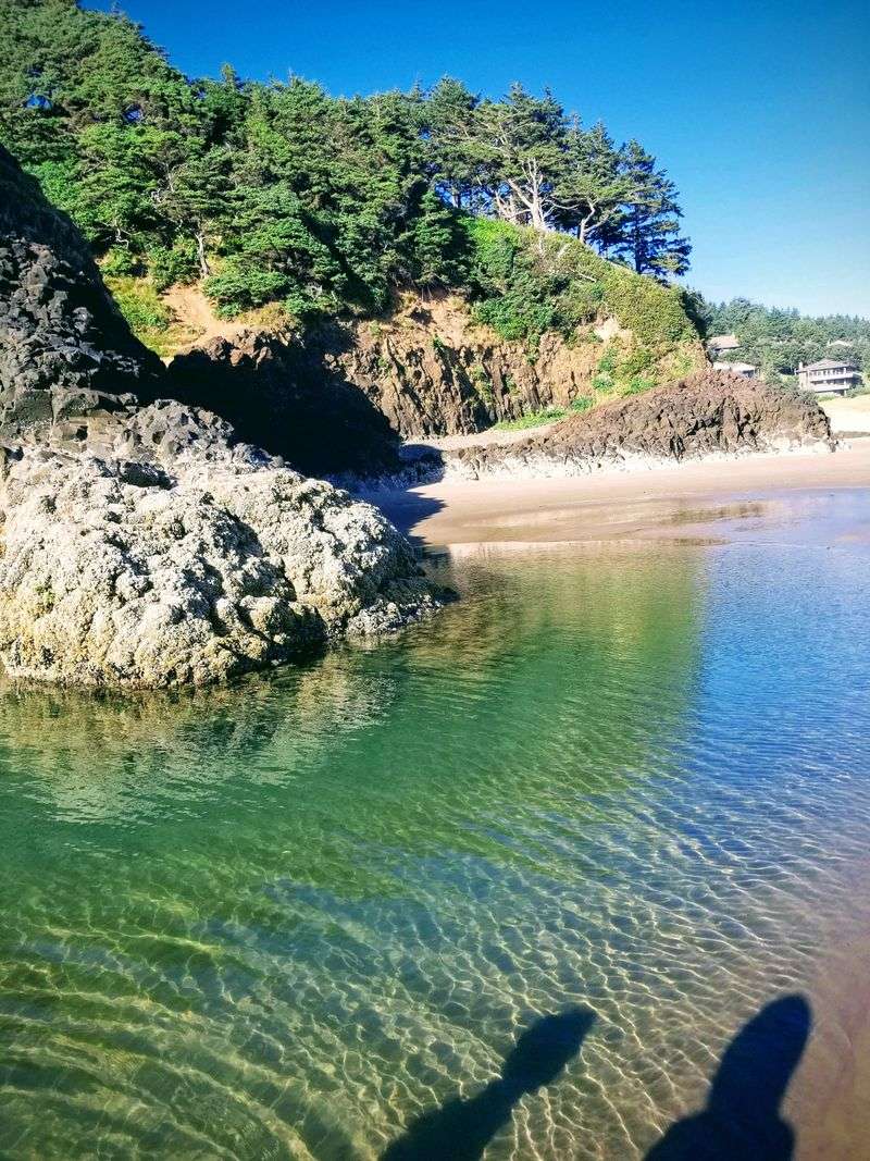 Nature at Your Doorstep