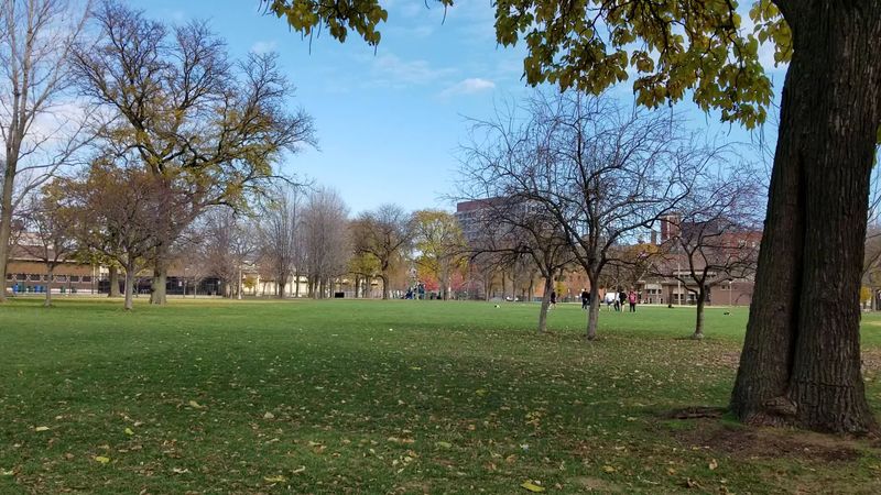 Iconic Location: Union Square Park As A Stage