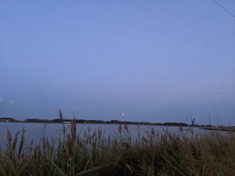 Honga River Packet Boat Wreck, Hoopers Island