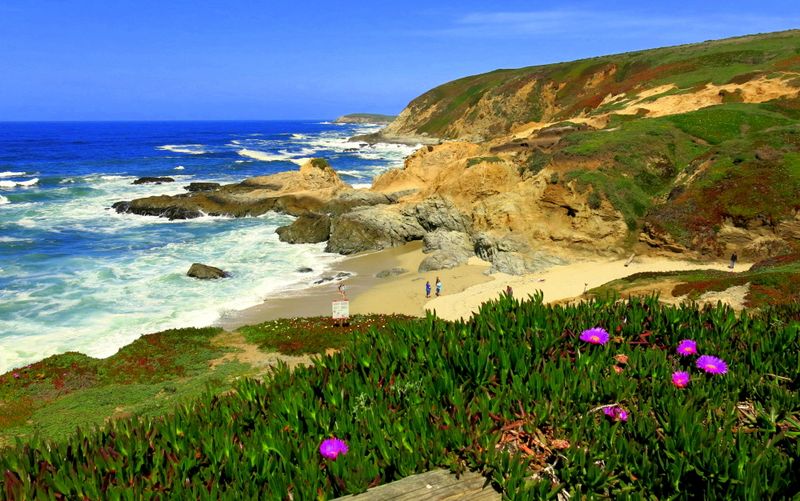 Bodega Bay: Coastal Hamlet of Hitchcock Fame