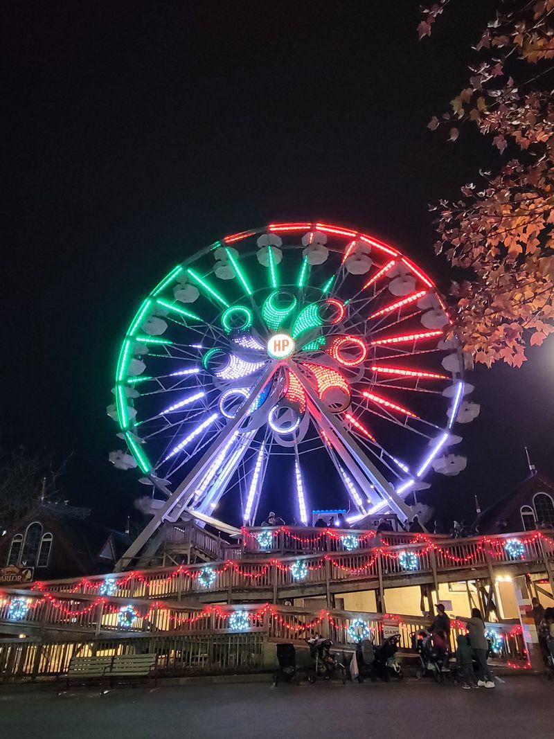 Family-Friendly Rides Operate Throughout the Winter Season