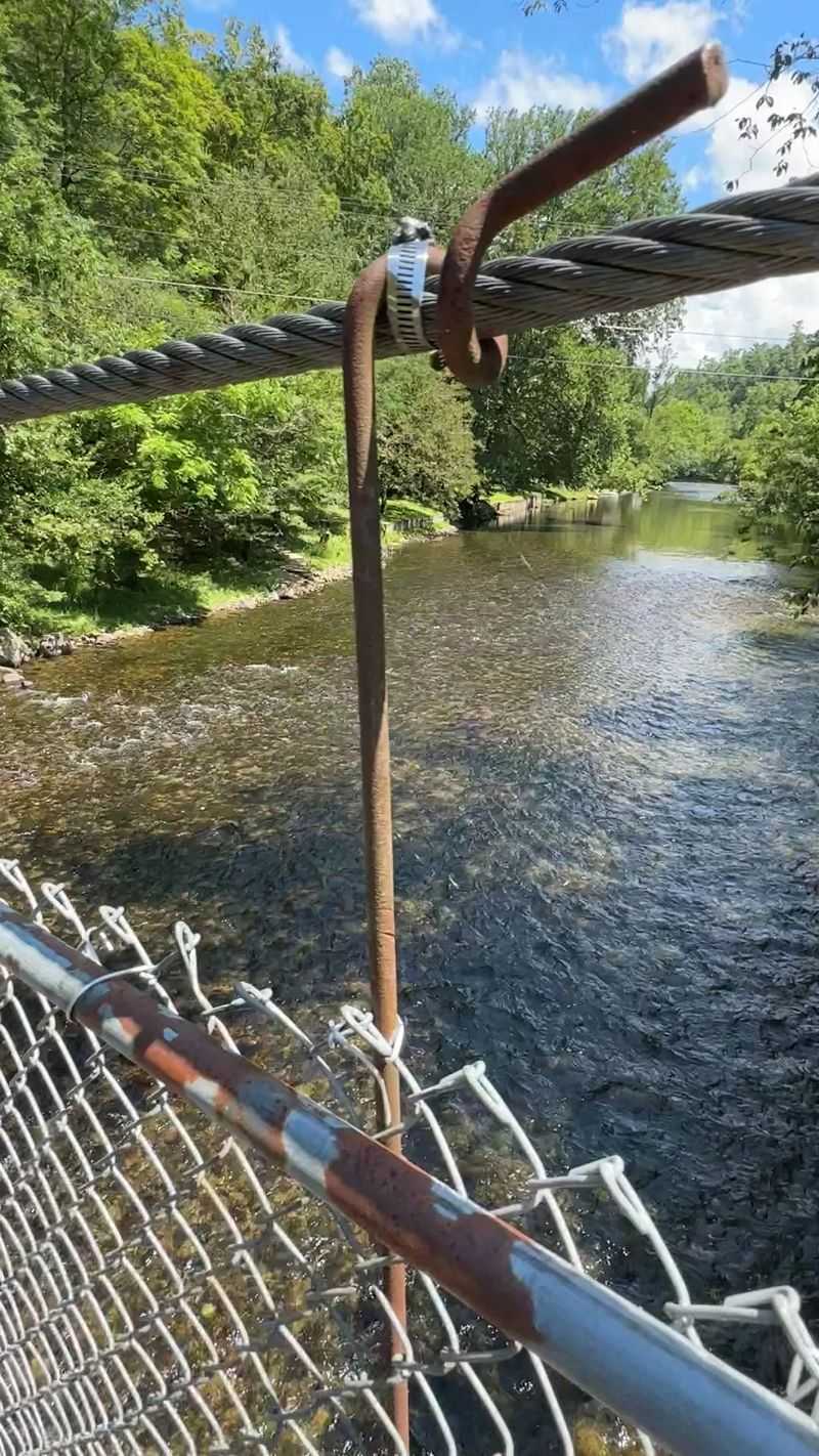 Dark Island Swinging Bridge