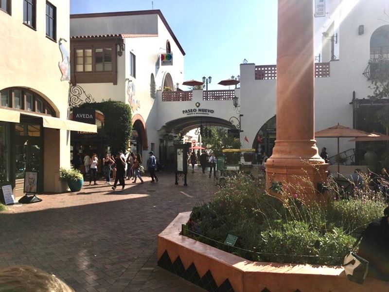 Explore the Funk Zone for Seasonal Art and Style