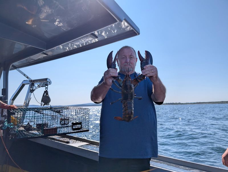Catching a Lobster with Bare Hands