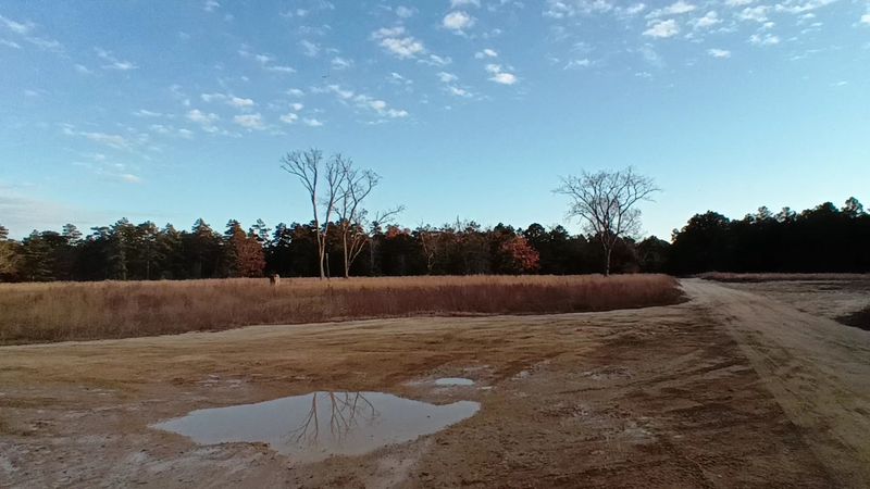 Indian Cabin Road, Shamong