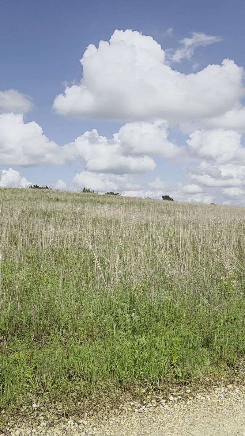 Seasonal Prairie Transformations Worth Timing