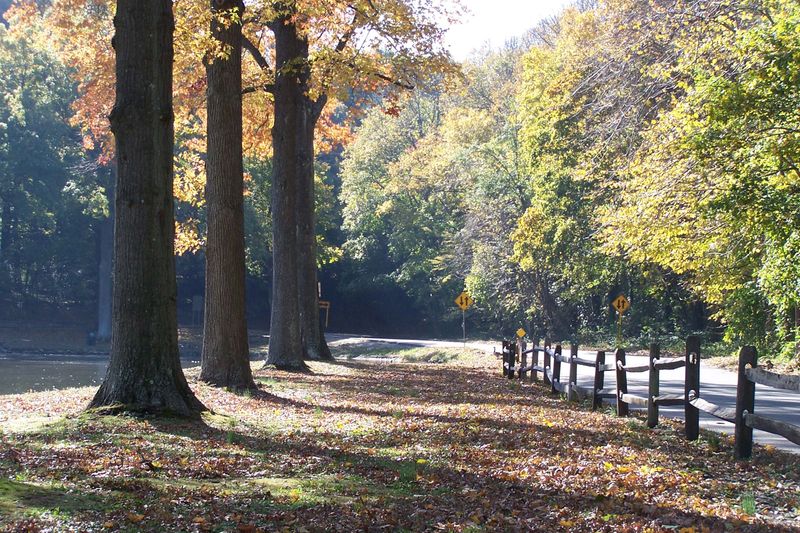 Roslyn Heights (Winter Garden)