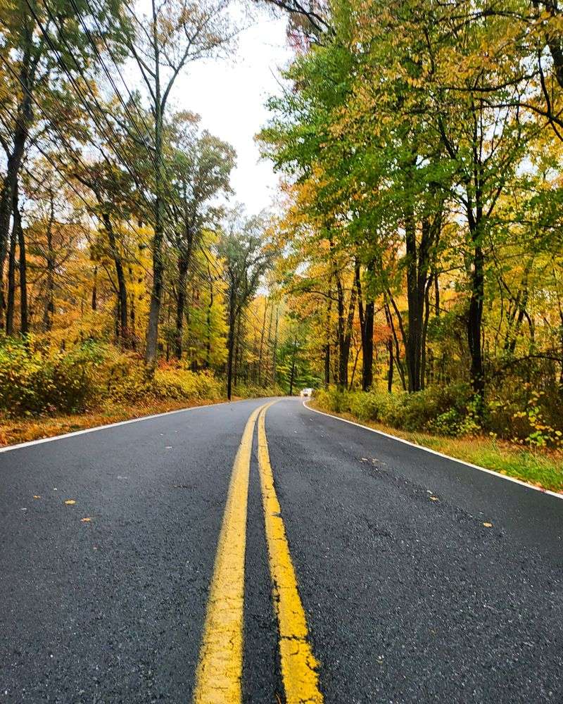 Cranbury School Fostering Close Knit Educational Community