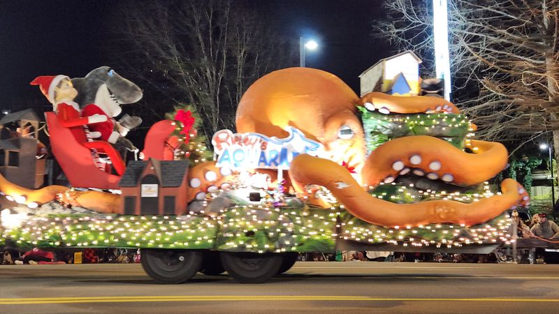 The Winterfest Celebration Lights Up Every Corner