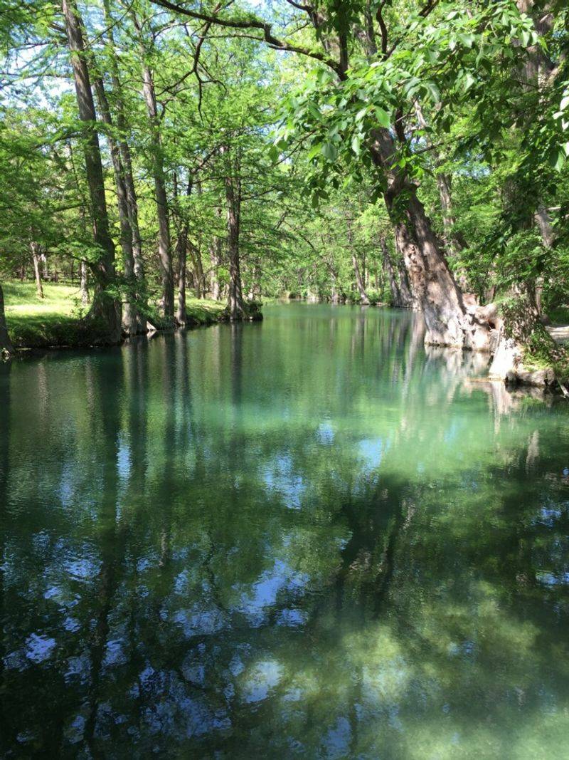 Natural Wonders at Blue Hole Regional Park