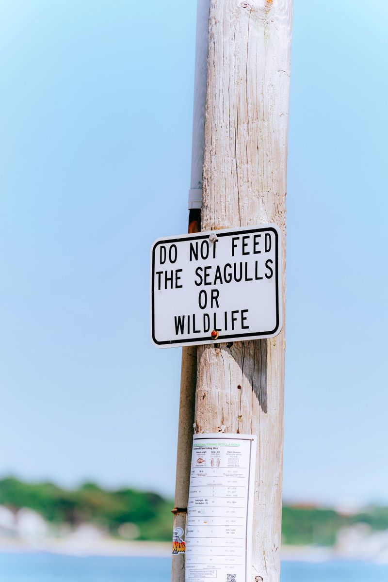 Locals Are Tired Of The Chaos