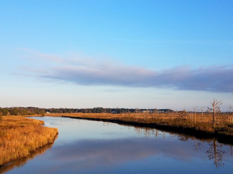 Marshlands That Stretch to Infinity