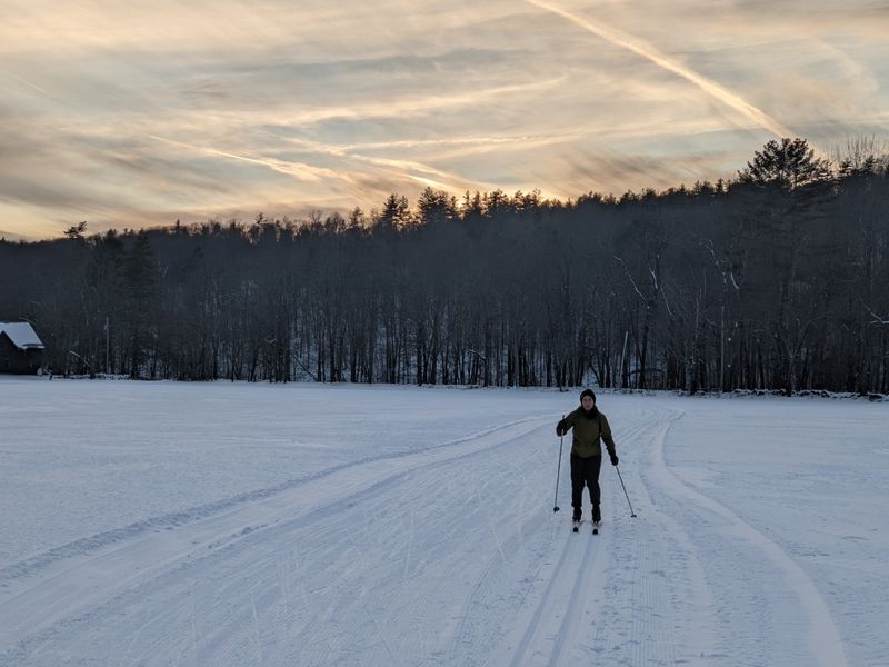 The Seasonal Transformations That Justify Every Return Visit