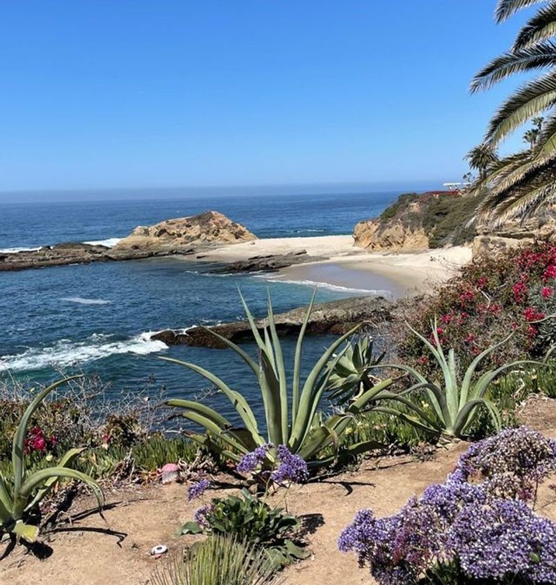 Calling Every Beach LA Even When It Is Far Away